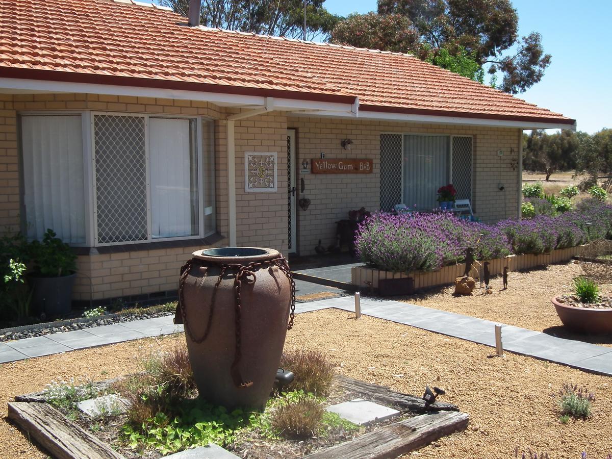 Yellow Gum Bed And Breakfast Katanning Exteriör bild