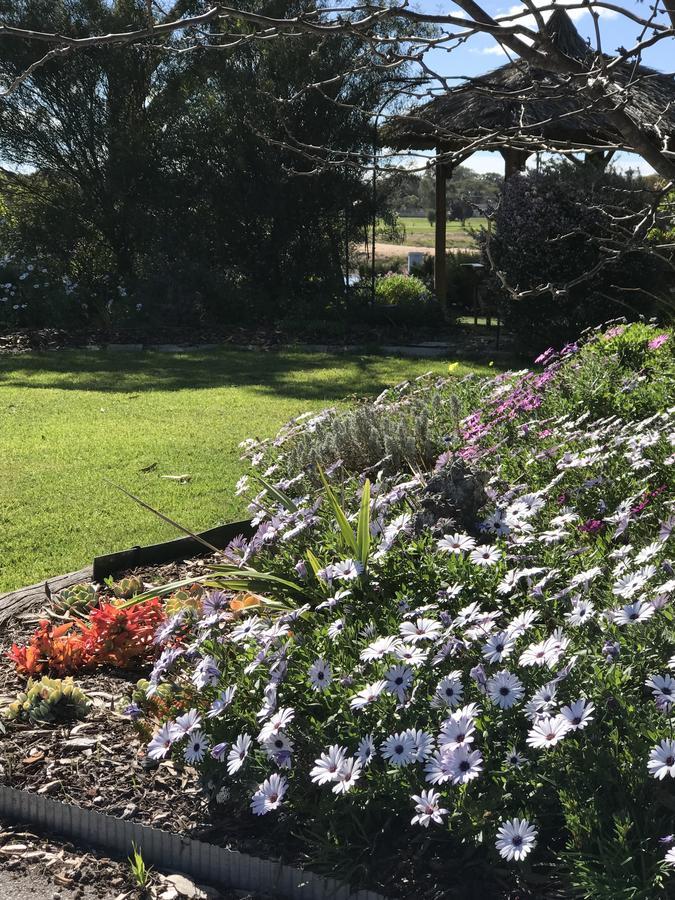 Yellow Gum Bed And Breakfast Katanning Exteriör bild